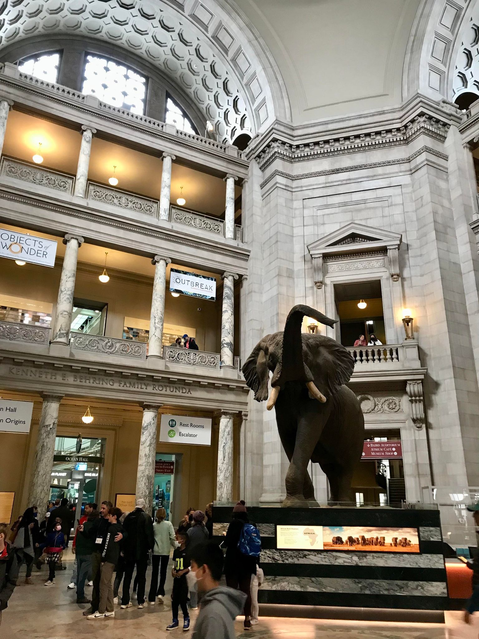 Museum of Natural History
