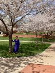 Bi under cherry blossoms&nbsp;1