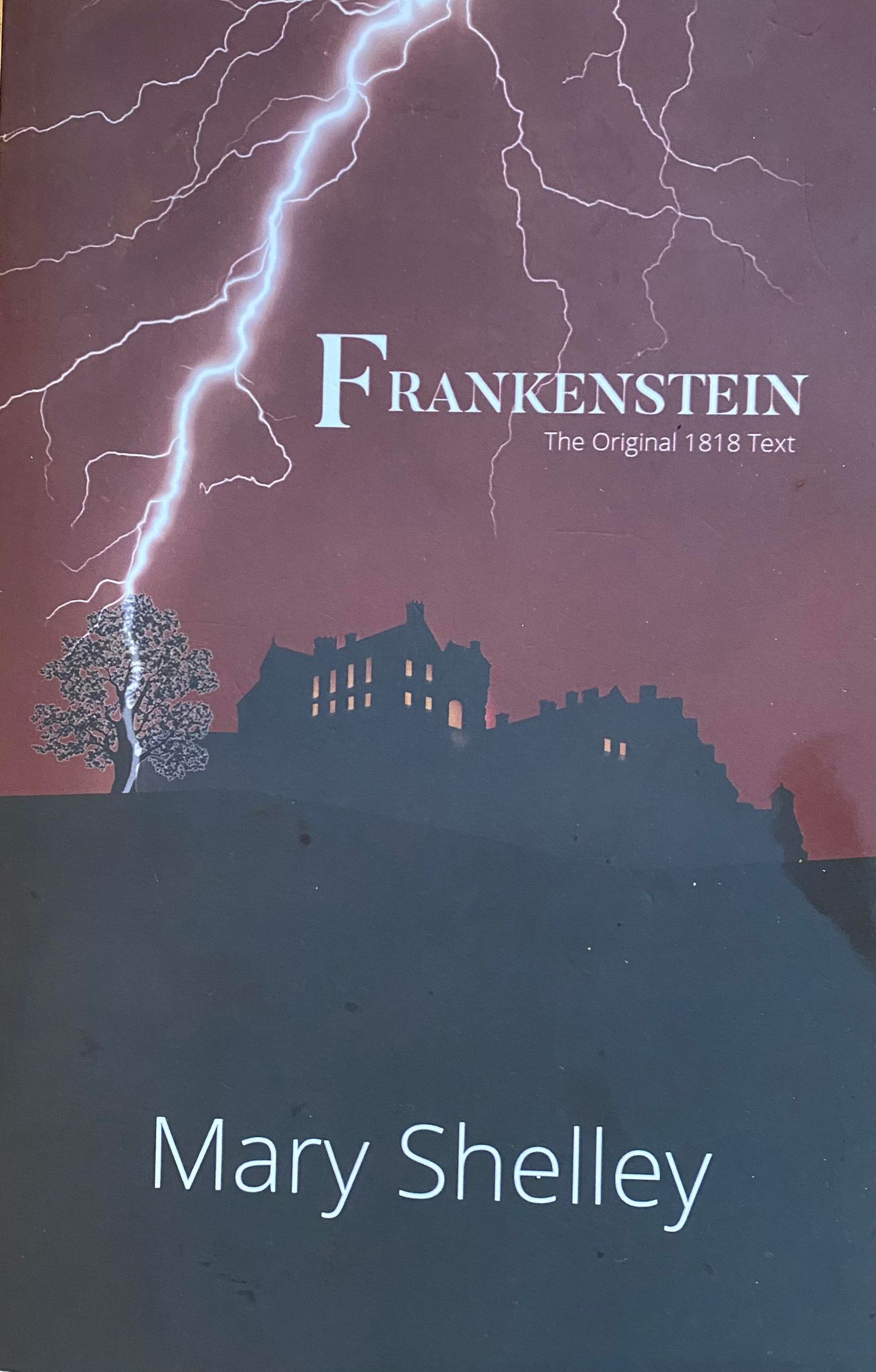 Frankenstein book cover